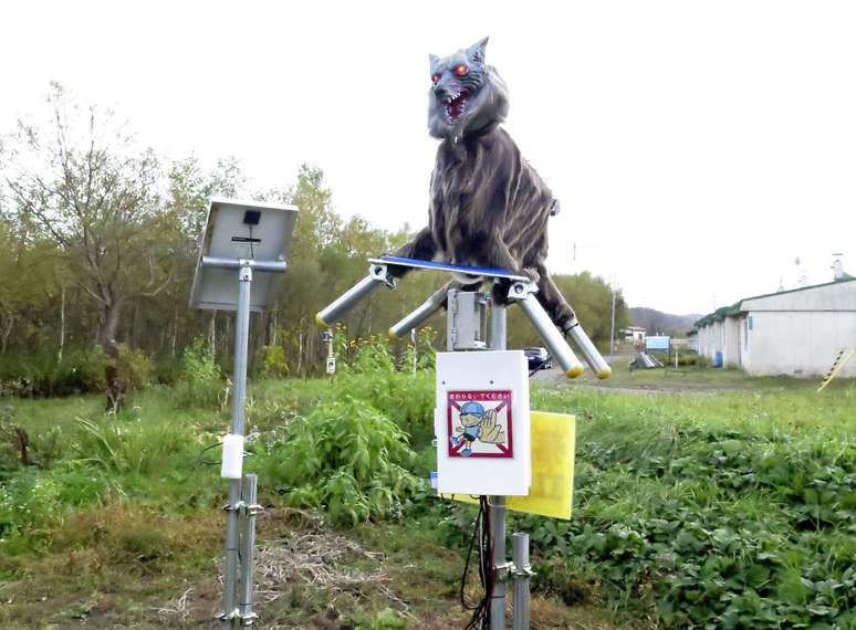 Cidade do Japão usa robô "Lobo Mostruoso" para deter ursos selvagens
21/10/2020
Kyodo/via REUTERS 