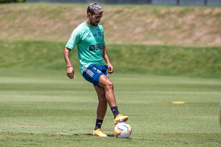 Arrascaeta voltou a treinar com bola (Foto: Marcelo Cortes/Flamengo)