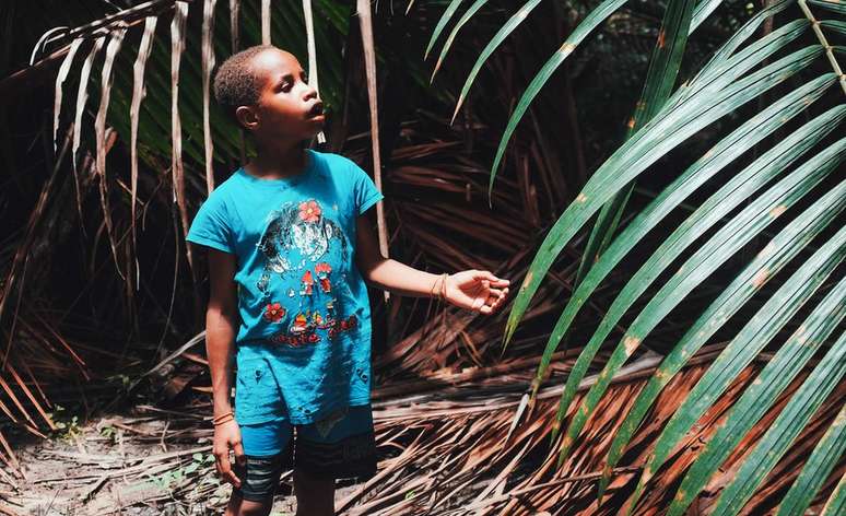 O sobrinho de Petrus Kinggo e sua gera&ccedil;&atilde;o herdar&atilde;o uma paisagem devastada em Papua