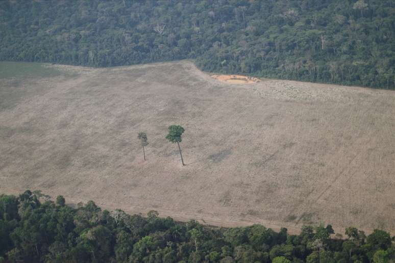 Vista aérea de trecho desmatado da Amazônia perto de Porto Velho, em Rondônia
14/08/2020 REUTERS/Ueslei Marcelino
