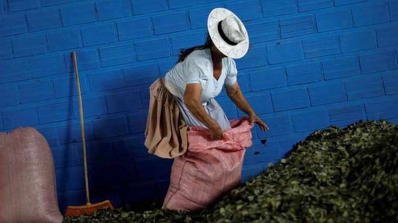 Vírus tem esse nome por causa da região boliviana de Chapare, conhecida também por sua produção cocaleira