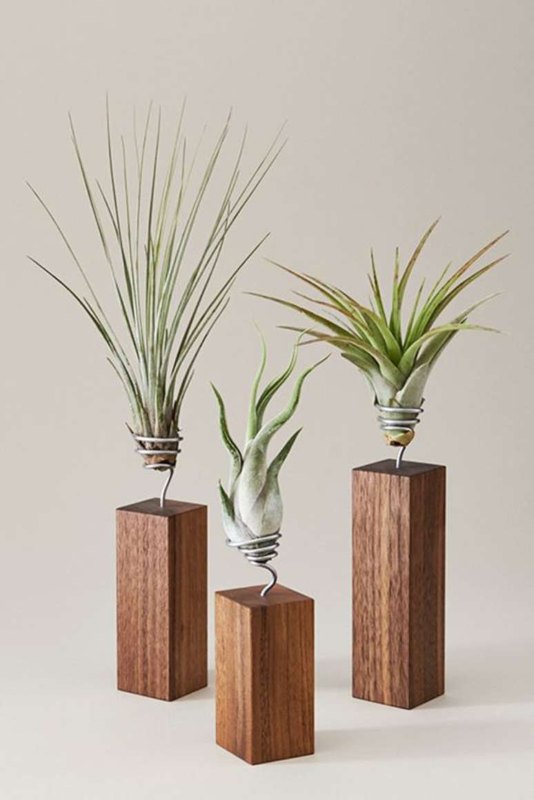 21. Vaso de madeira com plantas – Via: Dewanda