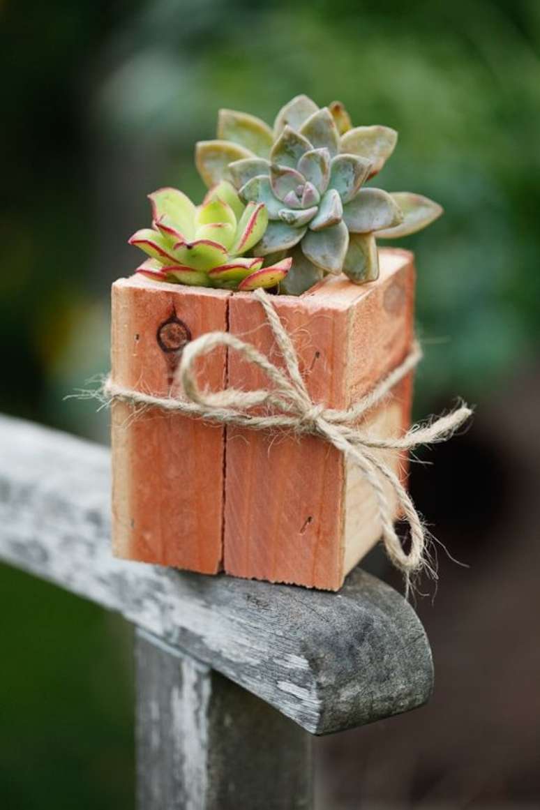 40. Vaso de madeira para suculentas pequenas – Via: Pinterest