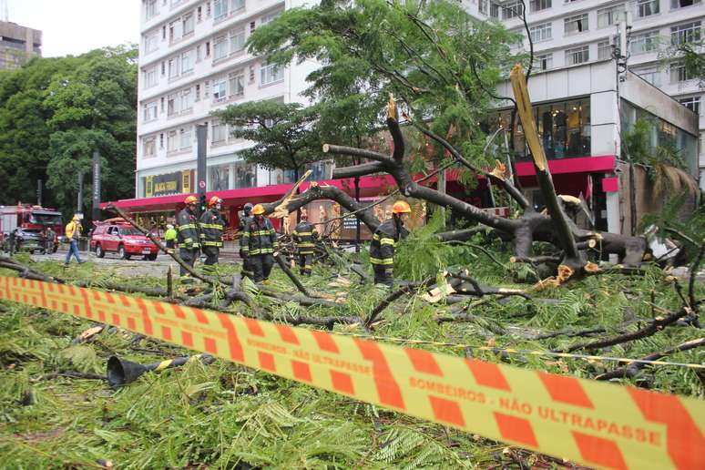 Árvore cai na Avenida Paulista, bloqueia trânsito e fere uma pessoa, em São Paulo (SP), nesta quinta-feira