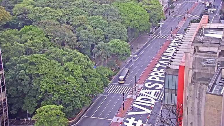 Uma das pistas da Avenida Paulista foi pintada por um grupo de artistas 