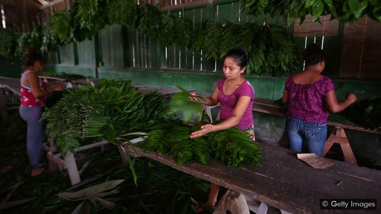 Encontrar maneiras de as pessoas viverem dentro de reservas ambientais, em vez de tentar mantê-las do lado de fora, pode ajudar a preservar sua biodiversidade