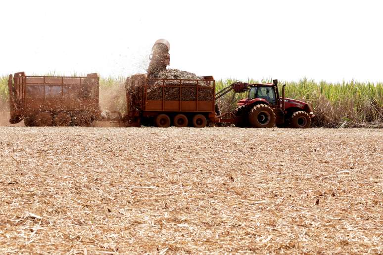 Colheita de cana-de-açúcar em Pradópolis (SP) 
13/09/2018
REUTERS/Paulo Whitaker
