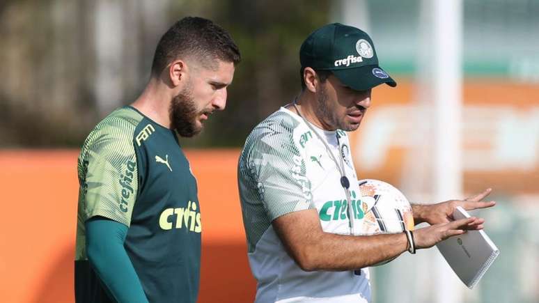 Zé Rafael jogou no sacrifício suas últimas duas partidas pelo Palmeiras (Foto: Cesar Greco/Palmeiras)