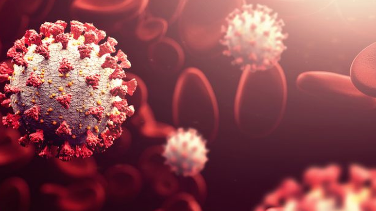 As pesquisas com os miniórgãos permitiram entender quais células o coronavírus invade. Hoje sabe-se que o patógeno pode afetar até os vasos sanguíneos.