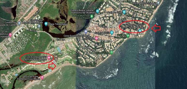 Resort na Praia do Forte fica próximo a sede do Projeto Tamar, que protege tartarugas marinhas; local é área de desova dos animais
