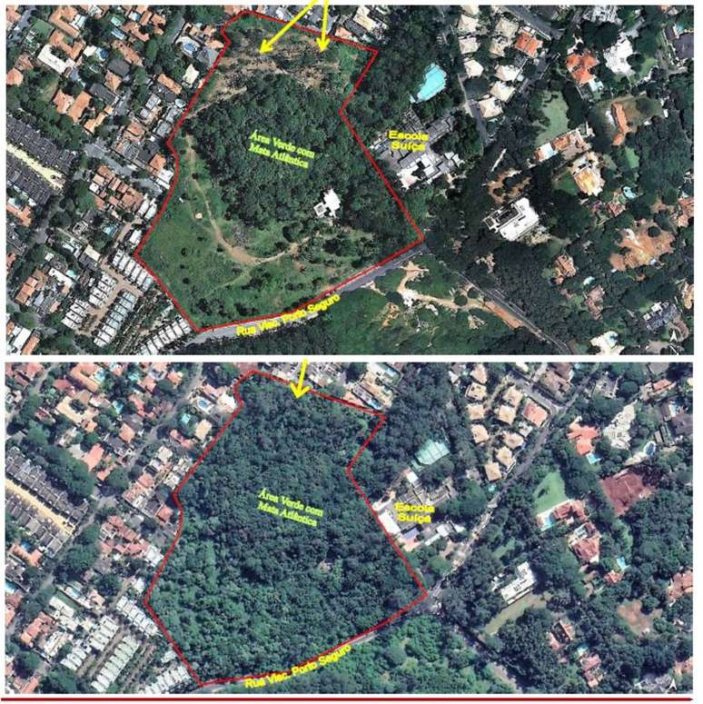 Em recurso, promotoria argumento que vegetação devastada conseguiu se recuperar desde 2008, como mostra comparativo