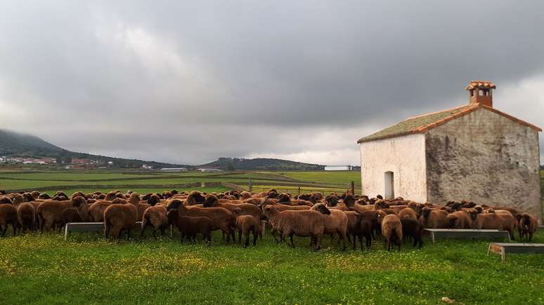 'No campo você está em contato diário e explícito com o ciclo da vida'