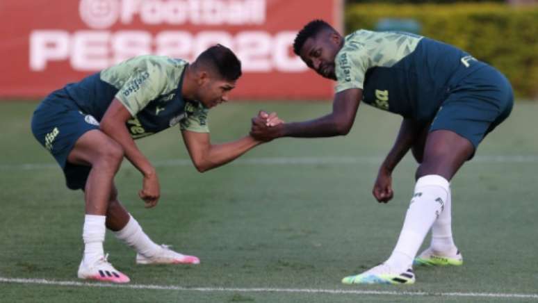 Rony afirmou que elenco vai sentir falta de Ramires (Foto: Cesar Greco/Palmeiras)