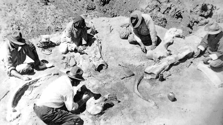 Expedição de Andrews no Deserto de Gobi, em 1928, coleta o fóssil de um mamífero de grandes proporções