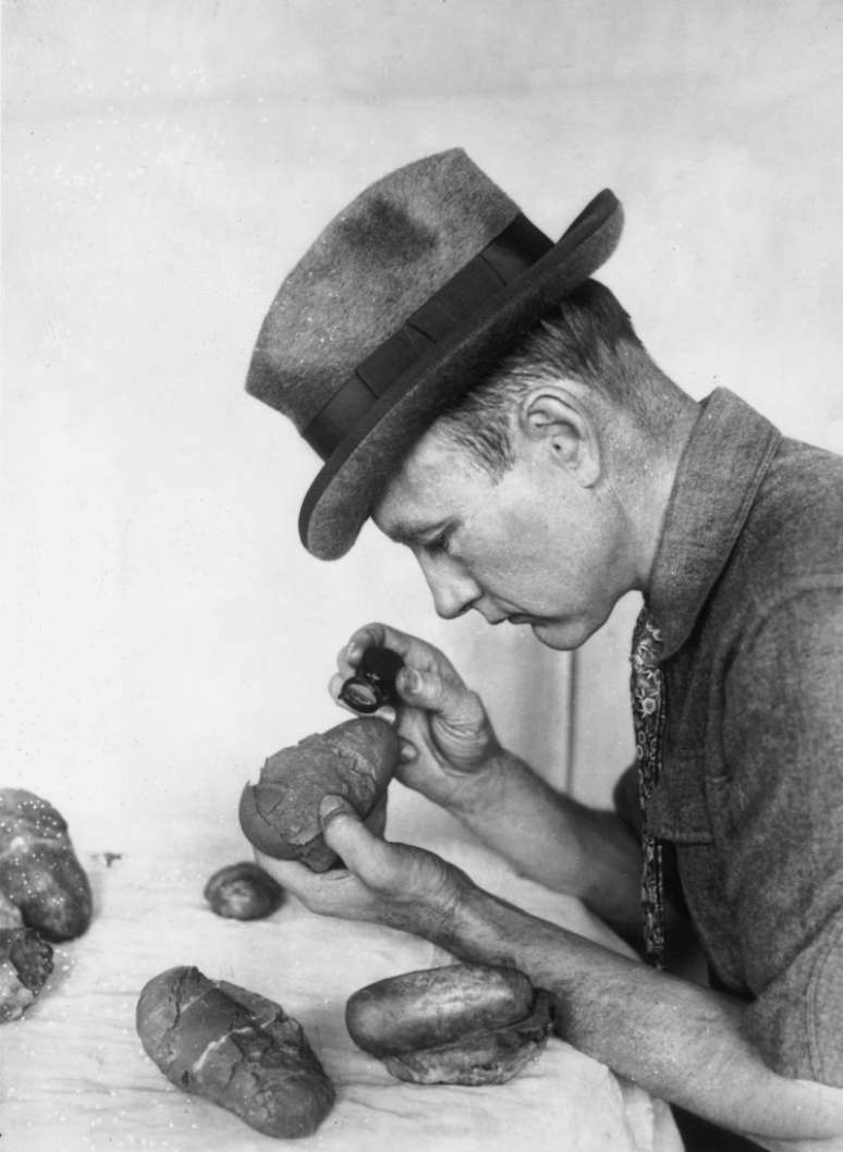 Andrews, em 1925, analisa ovos de dinossauro de cerca de 20 centímetros encontrados na Mongólia