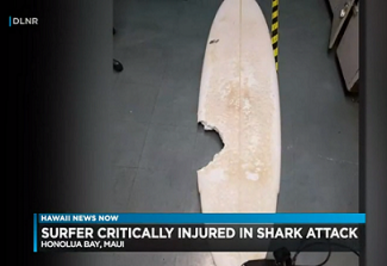 Surfista amador morreu após ataque de tubarão no Havaí (Foto: Reprodução/Hawaii News Now)