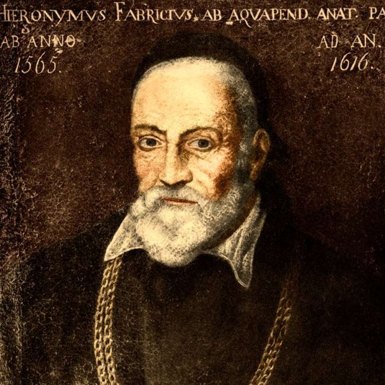 Hieronymus Fabricius deu aula por quase meio século na Universidade de Pádua, na Itália