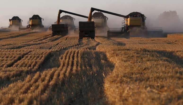 Trabalhos de colheita em plantação de trigo na cidade de Krasnoyarsk, na Sibéria, Rússia
REUTERS/Ilya Naymushin