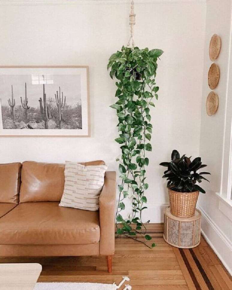 27. Vasos de plantas para decoração de sala com sofá de couro marrom claro – Foto: Casa de Valentina