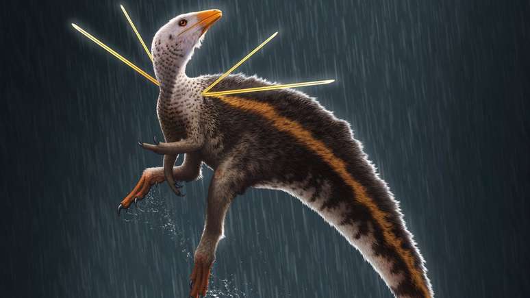 Ubirajara jubatus tinha tamanho aproximado de uma galinha e viveu há 110 milhões de anos