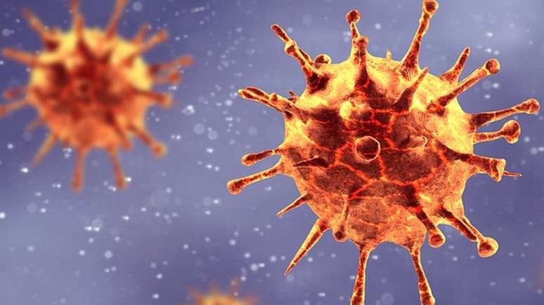 Coronavirus em detalhe