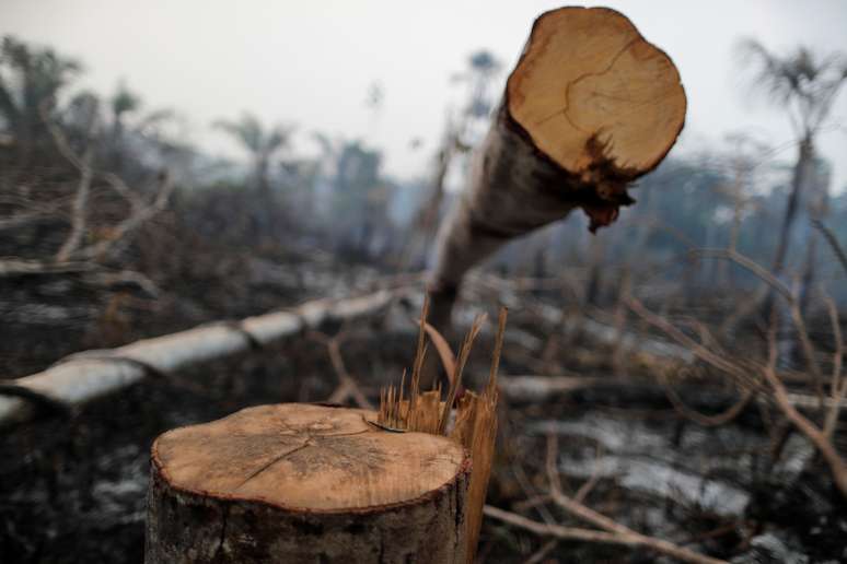 Trecho da Amazônia atingido por queimada é derrubado por madeireiros perto de Mirante da Serra, em Rondônia
REUTERS/Ueslei Marcelino