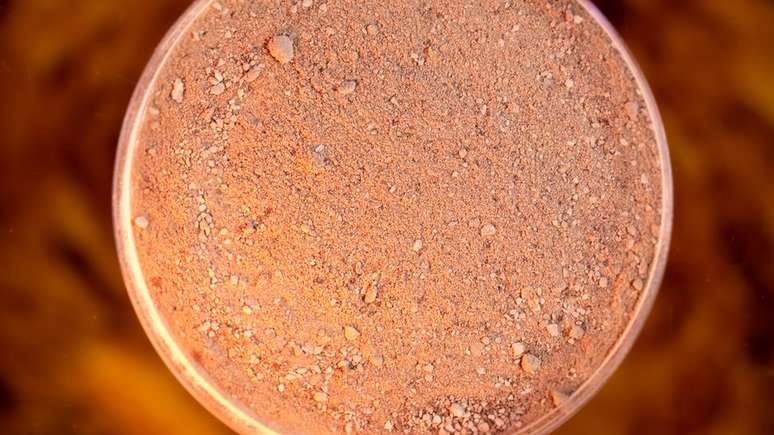 Deep Branch criou uma prote&iacute;na a partir de di&oacute;xido de carbono e hidrog&ecirc;nio