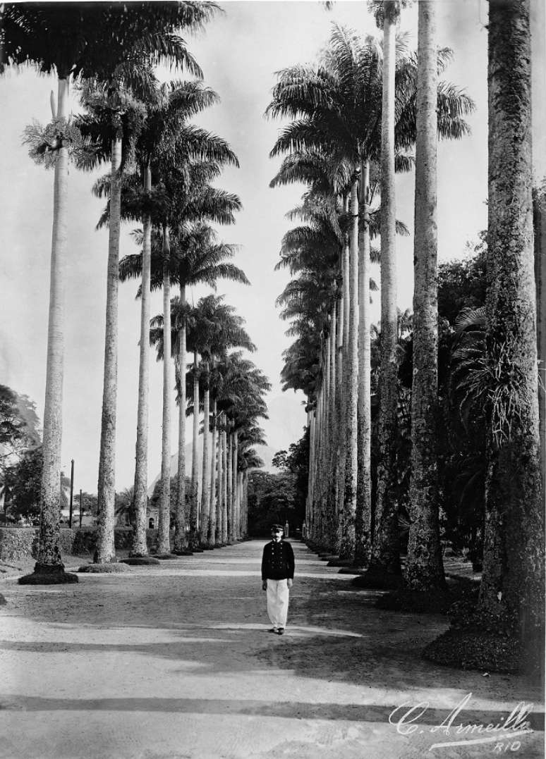 Antigo Jardim Bot&acirc;nico: Armeilla ganhava a vida vendendo fotos para revistas da &eacute;poca, como K&oacute;smos e Careta
