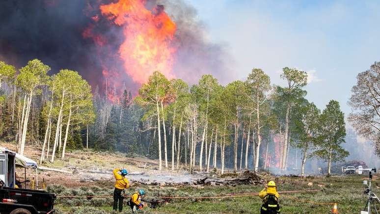 Fumaça dos incêndios florestais pode ser uma nova rota de disseminação de micróbios