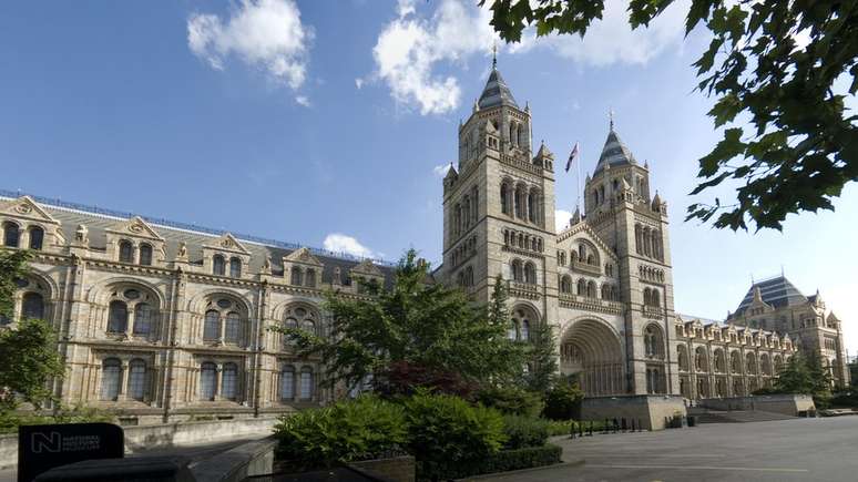 O mineral foi descoberto dentro de uma rocha que está no Museu de História Natural de Londres desde 1964