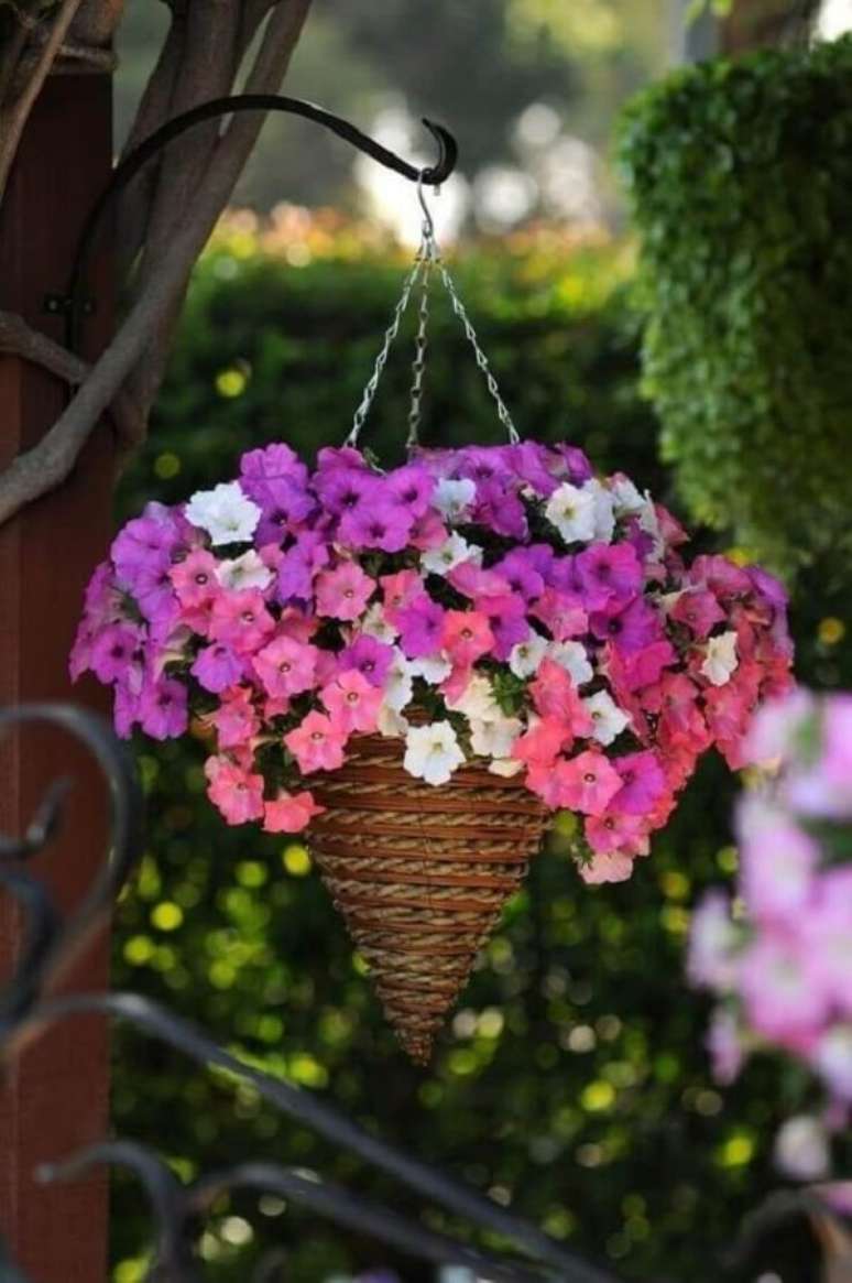 20. As petúnias são flores para vaso suspenso. Fonte: Pinterest
