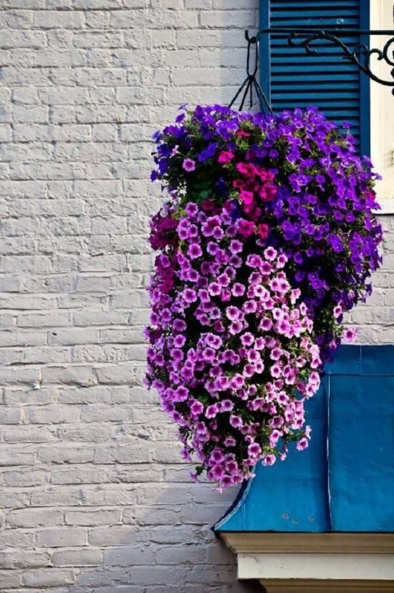 6. As petúnias são flores perfeitas para vasos suspensos. Fonte: Pinterest