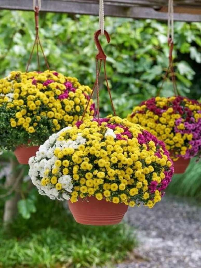 27. Mescle tonalidades de flores para vasos suspensos. Fonte: Pinterest