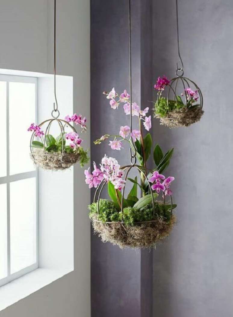 7. Mini orquídeas cultivadas como flores para vaso suspenso. Fonte: Pinterest