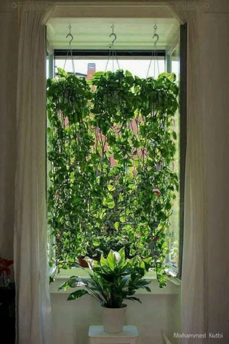 18. Os vasos suspensos para plantas pendentes criam um efeito lindo em janelas. Fonte: Pinterest