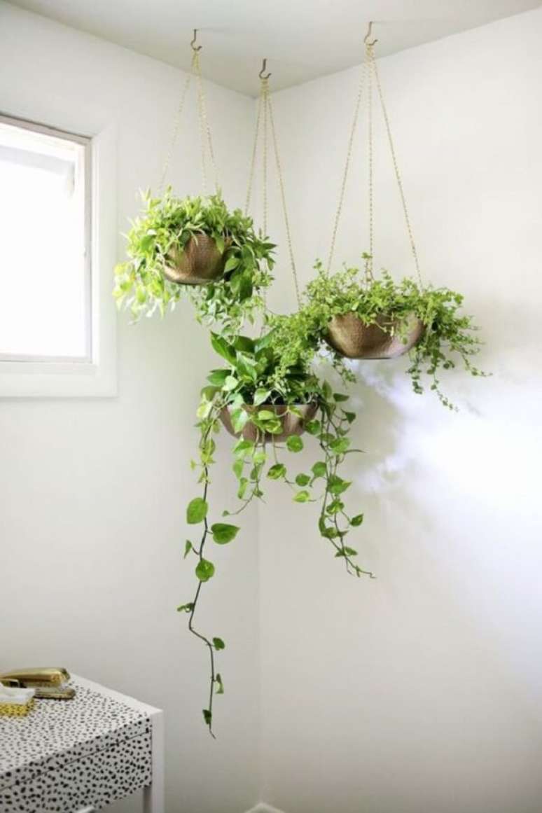 12. Planta ornamental plantada em vasos suspensos no banheiro. Fonte: Pinterest
