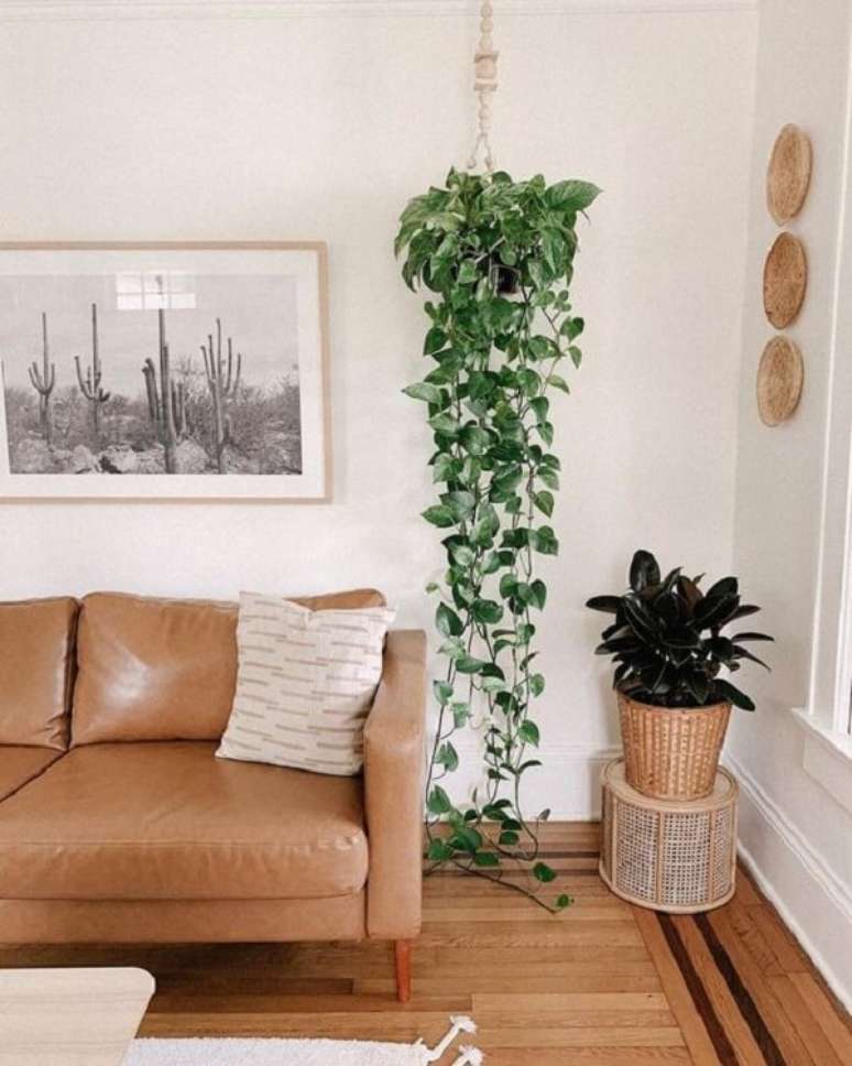 4. Sala de estar decorada com vaso de planta suspenso com jiboia pendente. Fonte: Pinterest