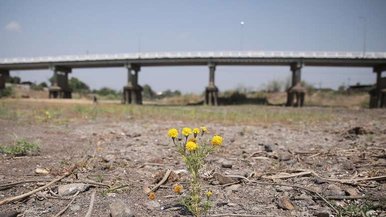 Condi&ccedil;&otilde;es de calor podem levar a secas prolongadas e escassez de &aacute;gua