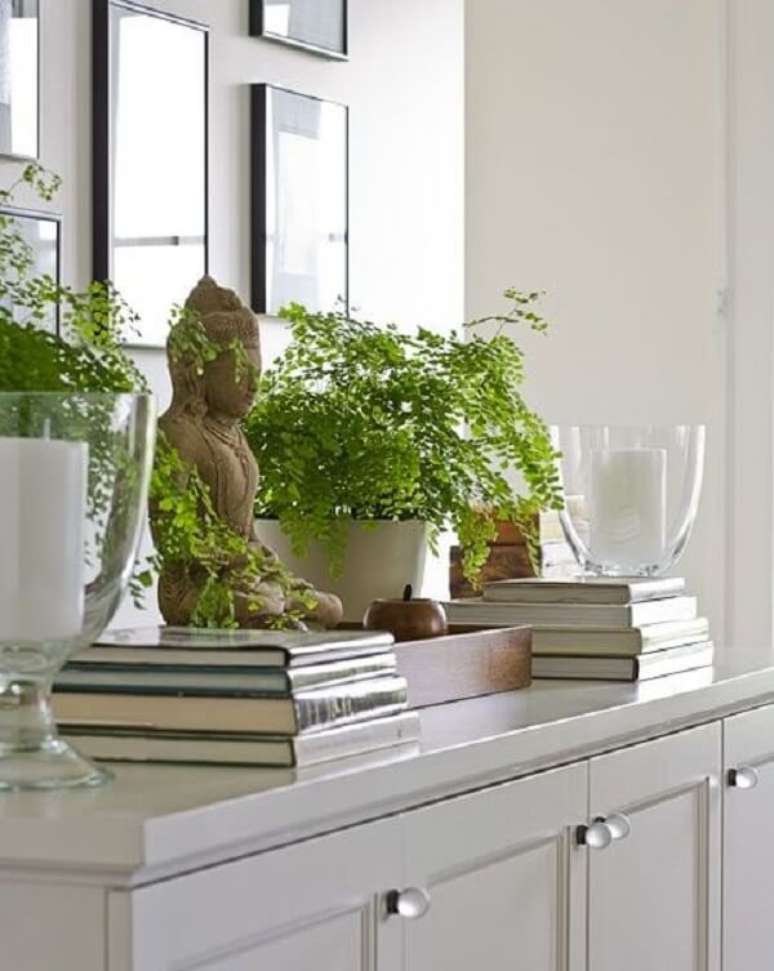 18. A Avenca estranha mudar de local mas se a mudan&ccedil;a for para o bem dela, ela novamente fica linda. Fonte: Pinterest