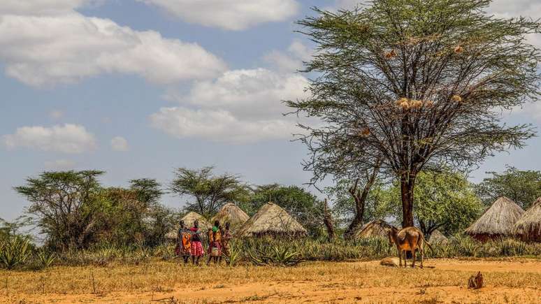 O trabalho de Nakalembe ajudou pessoas na semi-árida Karamajong