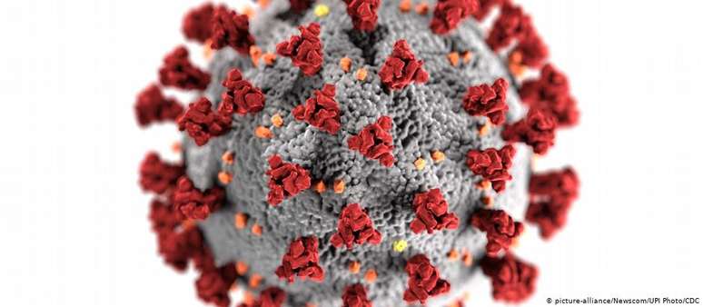 Mutação ocorreu exatamente onde o vírus Sars-Cov-2 se acopla ao receptor humano