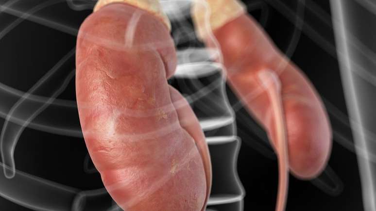Rins sofrem juntos e 'silenciosamente', explica nefrologista