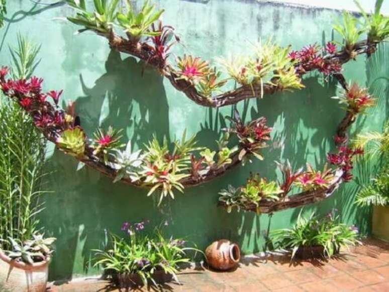 17. As plantas são ótimas para decoração de muro externo. Fonte: Só Decor