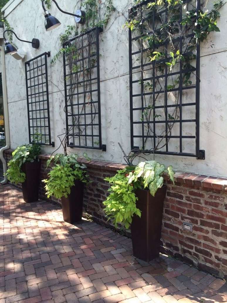 18. As plantas trepadeiras são ótimas para decoração de muro externo. Fonte: Pinterest