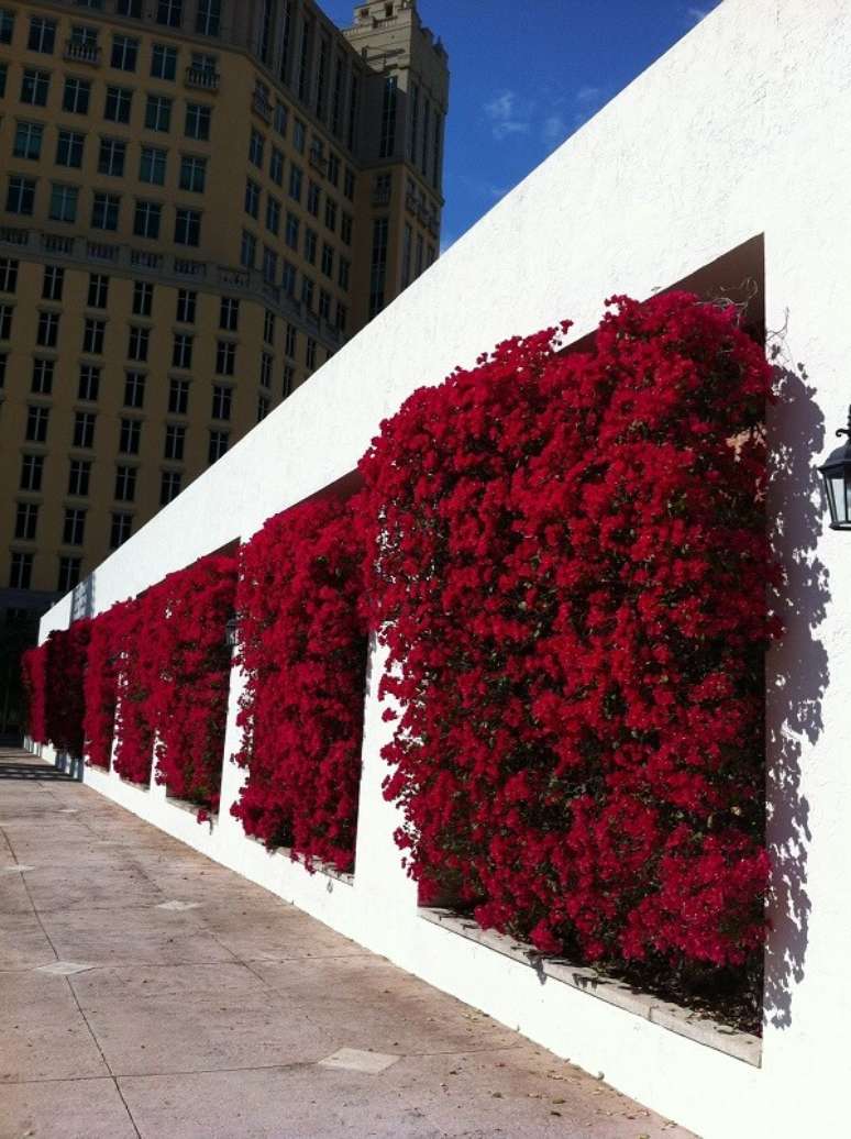 39. Muros decorados com plantas coloridas trazem alegria para o ambiente. Fonte: Pinterest