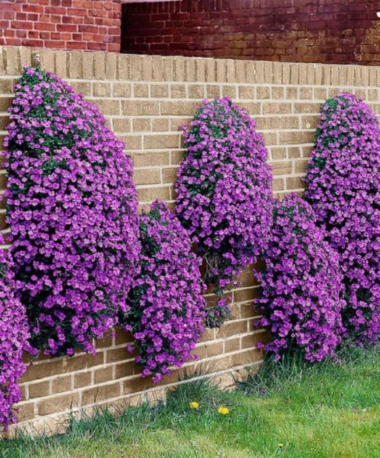 53. Muros decorados com plantas do tipo pet&uacute;nias. Fonte: Pinterest