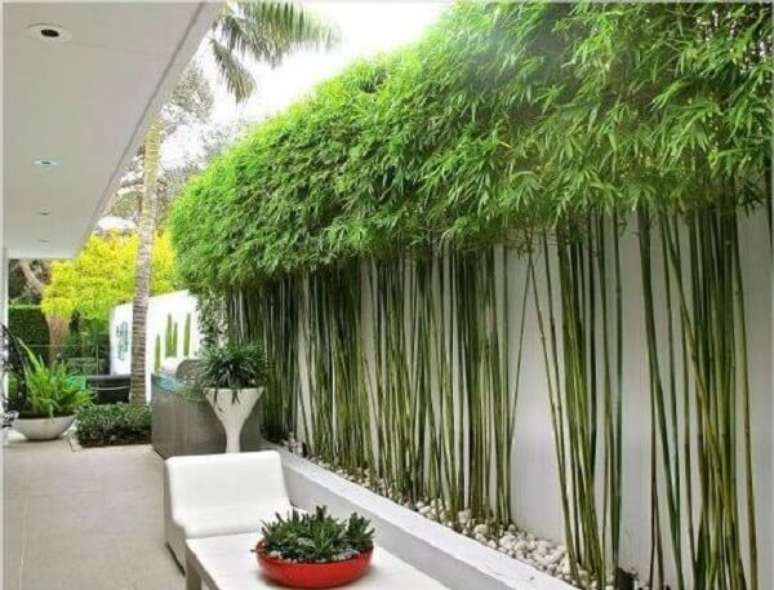 54. Cerca viva de bambu encantam a decora&ccedil;&atilde;o do espa&ccedil;o. Fonte: Pinterest