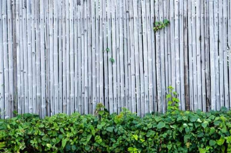 66. Decore o seu jardim com uma cerca de bambu. Fonte: Pinterest
