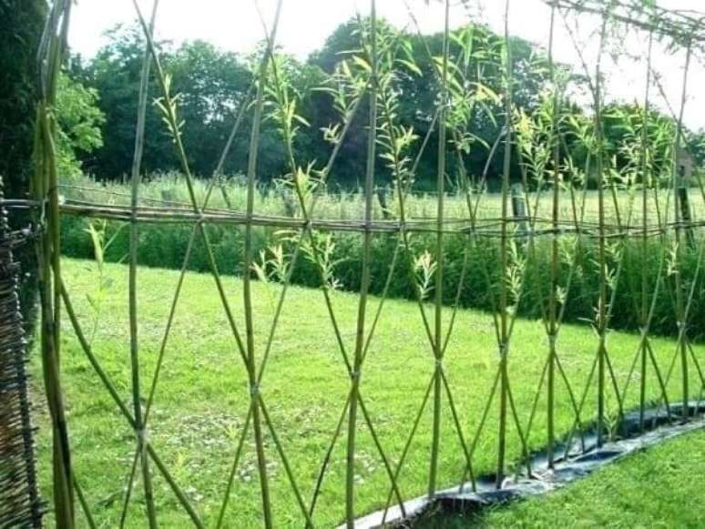 5. Modelo de cerca vida de bambu. Fonte: Pinterest