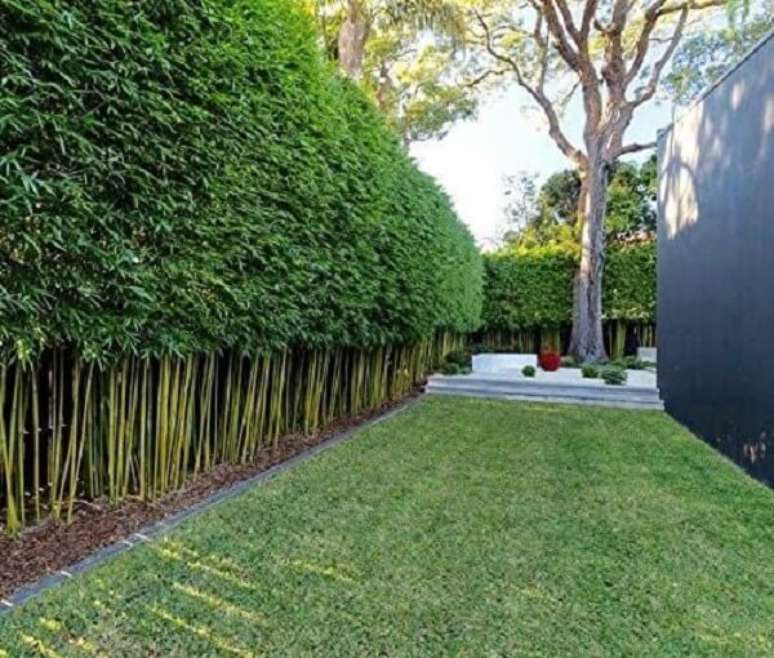 6. Modelo de cerca viva de bambu ornamental para casa. Fonte: Pinterest